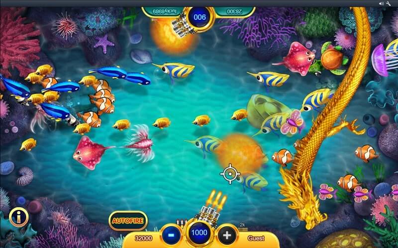 cash fish gameplay